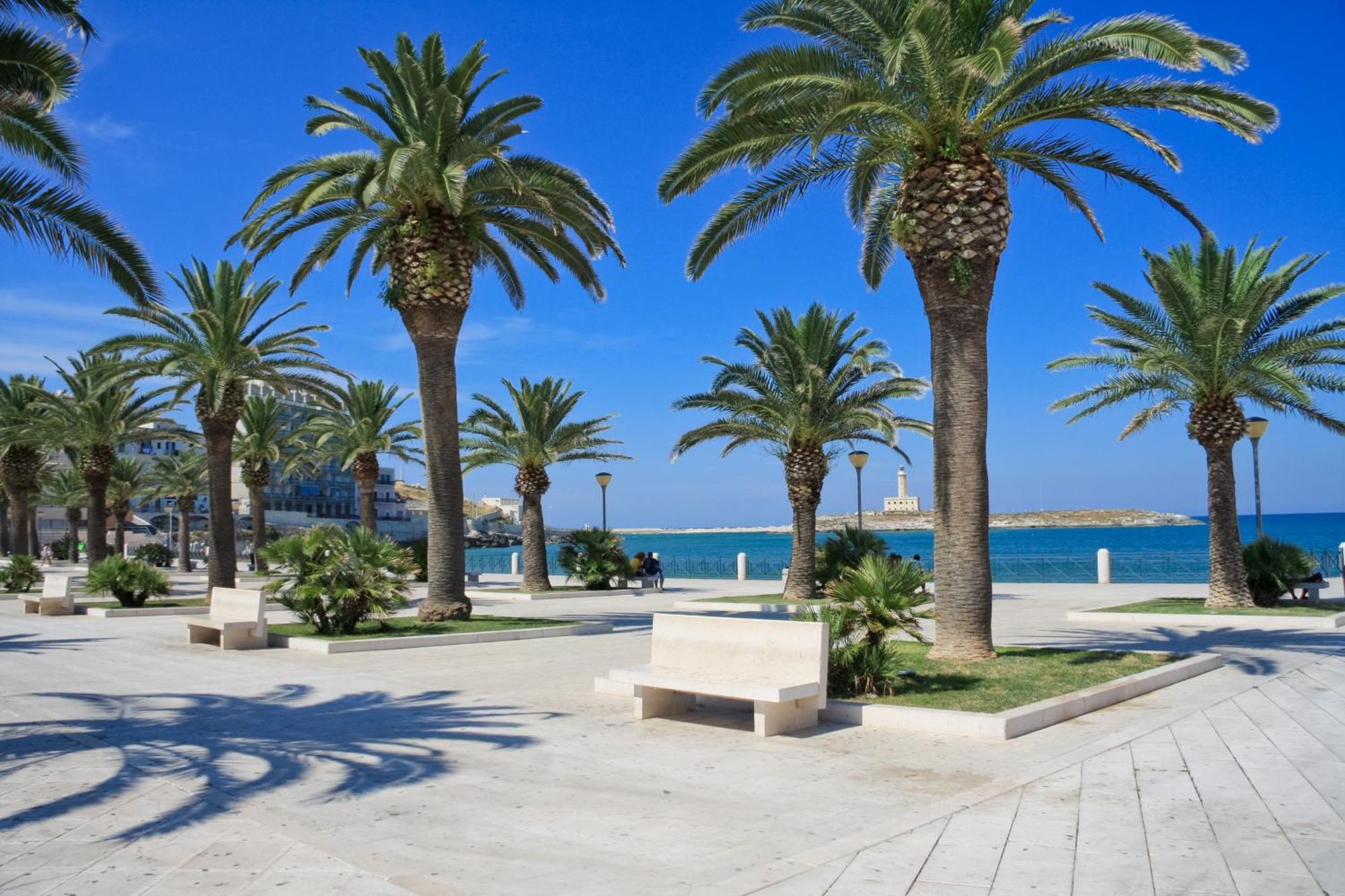 Casa Vacanza Vieste In Centro - Maison Del Borgo Экстерьер фото